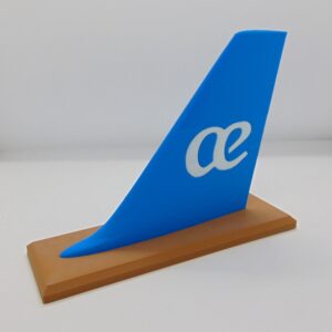 Cola Avión Air Europa
